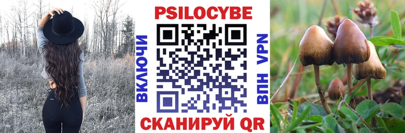 Псилоцибиновые грибы ЛСД Хилок